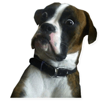 Meemes sticker 87 of 91