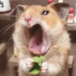 Figurinha 102 de 119 do pacote Figurinhas de Hamsters 🐹