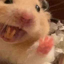 Figurinha 10 de 119 do pacote Figurinhas de Hamsters 🐹