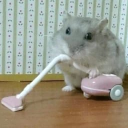 Figurinha 119 de 119 do pacote Figurinhas de Hamsters 🐹