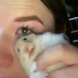 Figurinha 14 de 119 do pacote Figurinhas de Hamsters 🐹