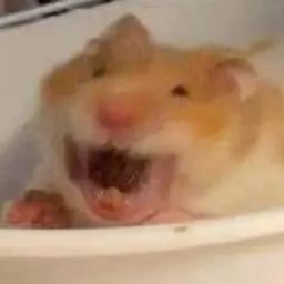 Figurinha 3 de 119 do pacote Figurinhas de Hamsters 🐹