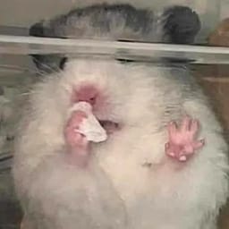 Figurinha 48 de 119 do pacote Figurinhas de Hamsters 🐹