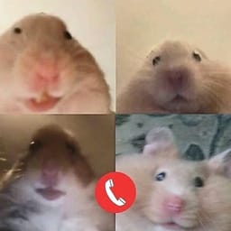 Figurinha 4 de 119 do pacote Figurinhas de Hamsters 🐹