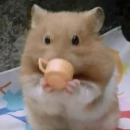 Figurinha 57 de 119 do pacote Figurinhas de Hamsters 🐹