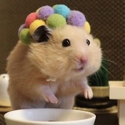 Figurinha 70 de 119 do pacote Figurinhas de Hamsters 🐹