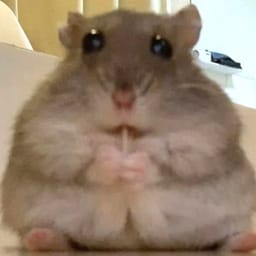 Figurinha 75 de 119 do pacote Figurinhas de Hamsters 🐹