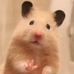 Figurinha 77 de 119 do pacote Figurinhas de Hamsters 🐹