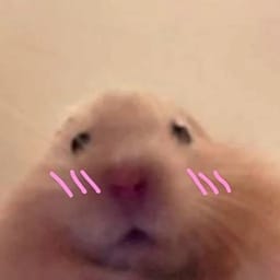 Figurinha 8 de 119 do pacote Figurinhas de Hamsters 🐹