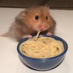 Figurinha 95 de 119 do pacote Figurinhas de Hamsters 🐹