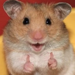 Figurinha 97 de 119 do pacote Figurinhas de Hamsters 🐹