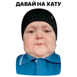 Sticker 60 de 120 del pack Stickers de Hasbulla 😂