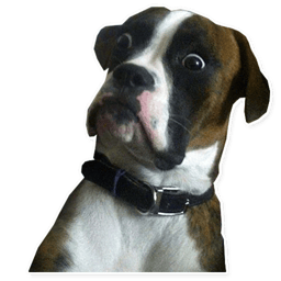 Sticker 87 de 91 del pack Stickers de Pack de Memes π