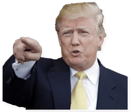 Sticker 10 de 28 del pack Stickers de Donald Trump 🇺🇸