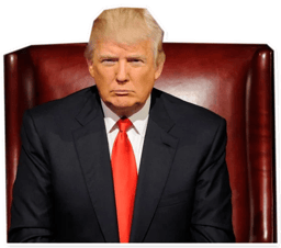 Sticker 12 de 28 del pack Stickers de Donald Trump 🇺🇸