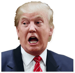 Sticker 13 de 28 del pack Stickers de Donald Trump 🇺🇸