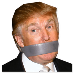 Sticker 14 de 28 del pack Stickers de Donald Trump 🇺🇸