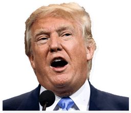 Sticker 15 de 28 del pack Stickers de Donald Trump 🇺🇸