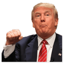 Sticker 16 de 28 del pack Stickers de Donald Trump 🇺🇸