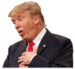 Sticker 18 de 28 del pack Stickers de Donald Trump 🇺🇸