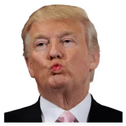 Sticker 19 de 28 del pack Stickers de Donald Trump 🇺🇸