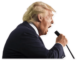 Sticker 21 de 28 del pack Stickers de Donald Trump 🇺🇸