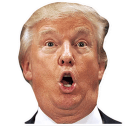 Sticker 26 de 28 del pack Stickers de Donald Trump 🇺🇸