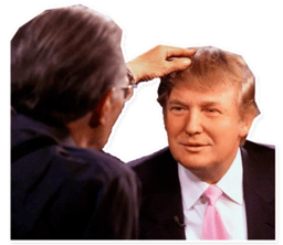 Sticker 6 de 28 del pack Stickers de Donald Trump 🇺🇸