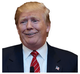 Sticker 8 de 28 del pack Stickers de Donald Trump 🇺🇸