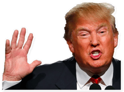 Sticker 9 de 28 del pack Stickers de Donald Trump 🇺🇸