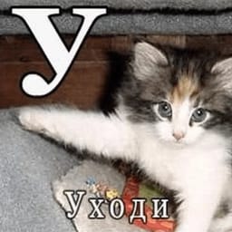 Sticker 84 de 119 del pack Stickers de Reacciones de Gatos ๐พ