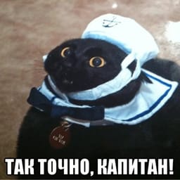 Sticker 59 de 119 del pack Stickers de Reacciones de Gatos ๐พ