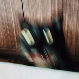 Sticker 11 de 119 del pack Stickers de Reacciones de Gatos ๐พ