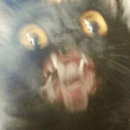Sticker 15 de 119 del pack Stickers de Reacciones de Gatos ๐พ
