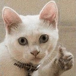 Sticker 5 de 119 del pack Stickers de Reacciones de Gatos ๐พ