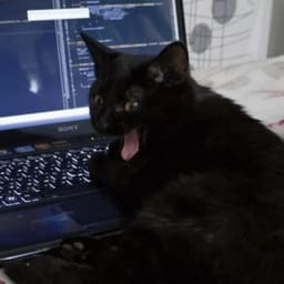 Sticker 6 de 119 del pack Stickers de Reacciones de Gatos ๐พ