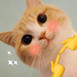 Стикер 29 из 33 из набора «Стикеры мемов котов 🐱»