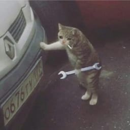 Стикер 16 из 33 из набора «Стикеры мемов котов 🐱»