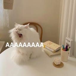 Стикер 3 из 33 из набора «Стикеры мемов котов 🐱»