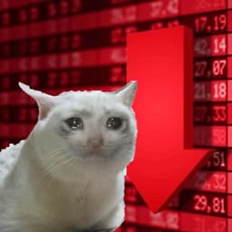 Стикер 23 из 33 из набора «Стикеры мемов котов 🐱»